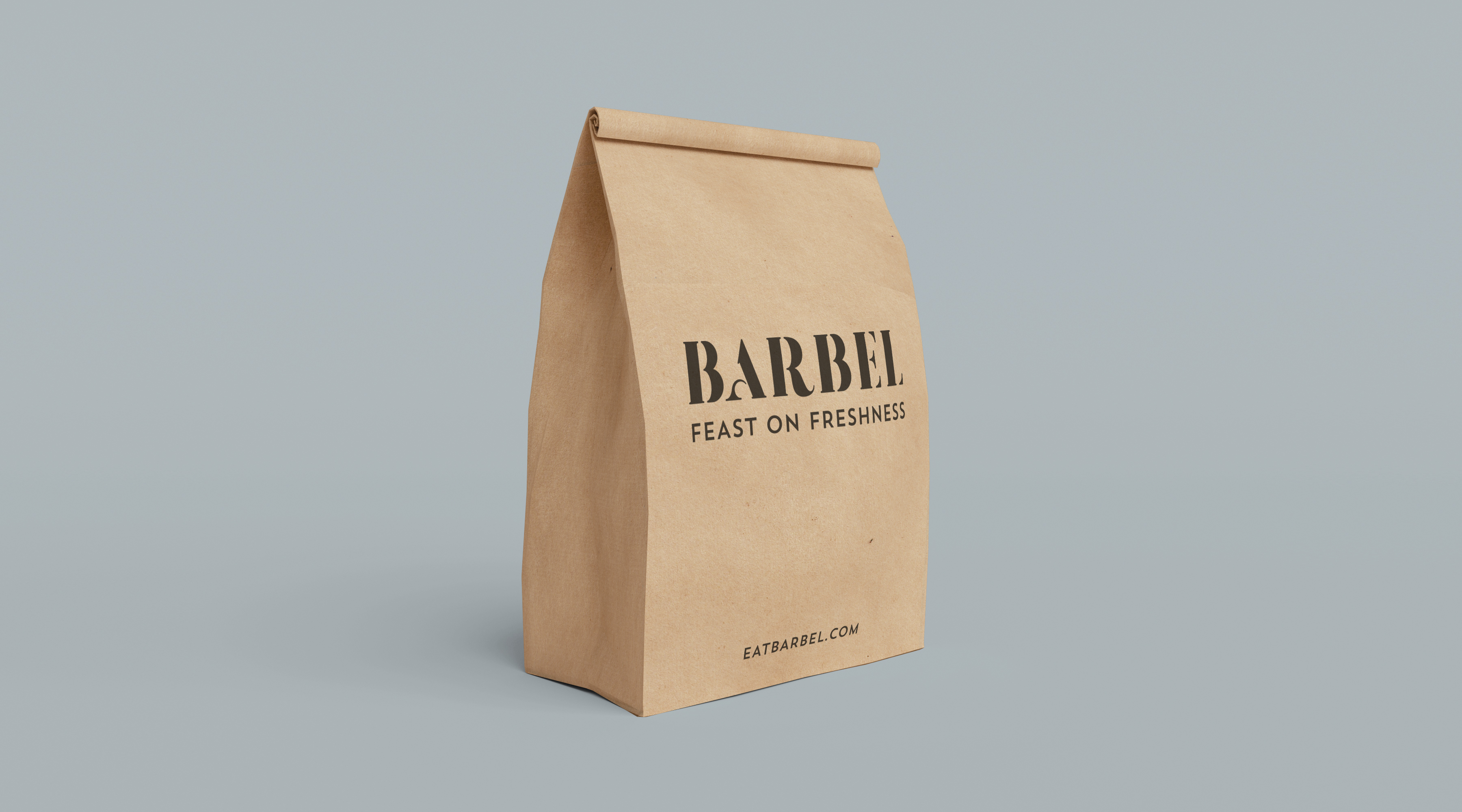 Barbel Bag 1