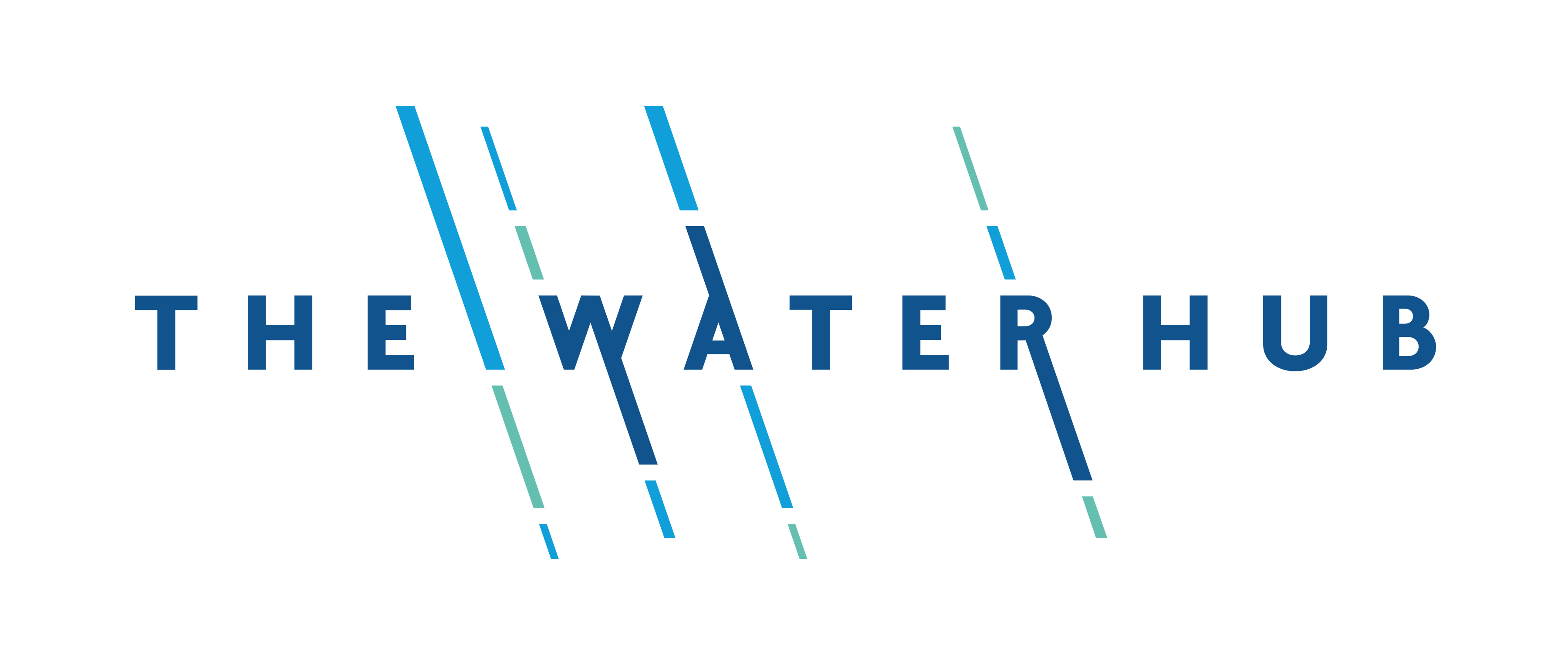 The Water Hub Banner